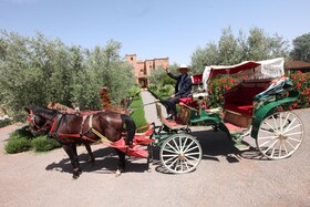 Ferme Sidi Safou
