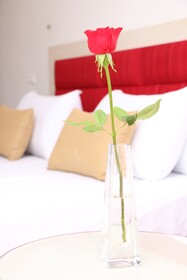 Hotel Racine