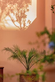 Hotel Riad Chami