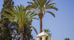 Hotel Yassmine House