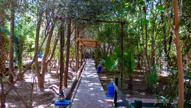 Jardin Tougana Campement & Lodge