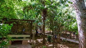 Jardin Tougana Campement & Lodge