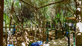 Jardin Tougana Campement & Lodge