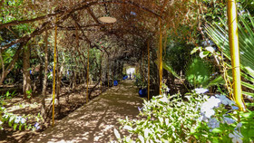 Jardin Tougana Campement & Lodge