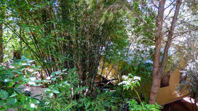 Jardin Tougana Campement & Lodge