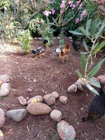La Ferme El Dar