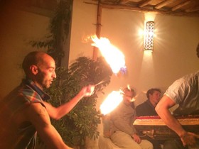 Le Coq Berbere