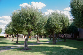 Le Palais Paysan