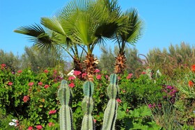 Le Relais de Marrakech
