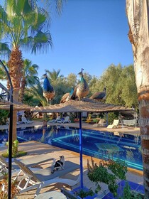 Le Relais de Marrakech