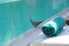 Les Jardins de la Médina