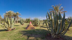 L´Oliveraie de L´Atlas