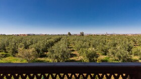 L´Oliveraie de L´Atlas