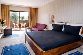 Palais Riad Berbere Bio Hotel and Spa