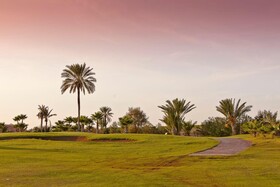 Pickalbatos Hôtel du Golf Palmeraie