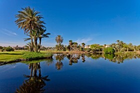 Pickalbatos Hôtel du Golf Palmeraie