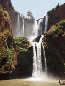Riad Ajmal