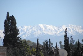 Riad Ajmal