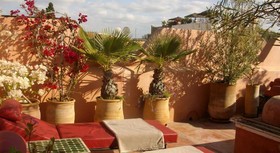 Riad Aloes