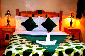 Riad Amya