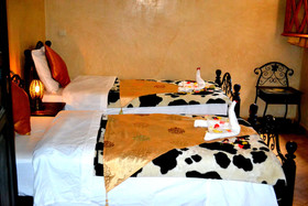 Riad Amya