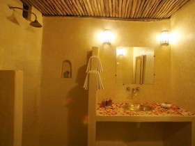 Riad Arocha