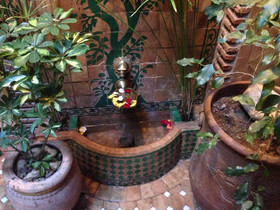 Riad CharCam - Adults Only
