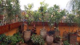 Riad CharCam - Adults Only