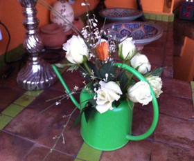 Riad CharCam - Adults Only