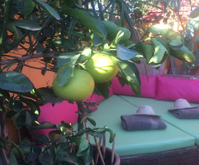 Riad CharCam - Adults Only