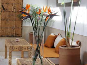 Riad Dar Eternity
