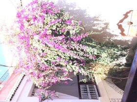 Riad Dar Palmyra