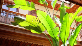 Riad Dar Saad