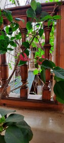 Riad Dar Zahia