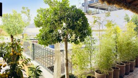 Riad Diamond Of Marrakech