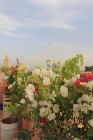 Riad Du Ciel