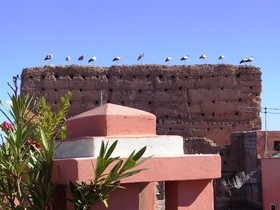 Riad el Farah