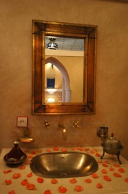 Riad Elsagaya