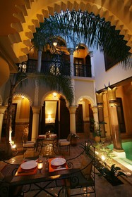 Riad Elytis