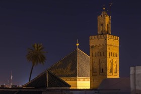 Riad Emberiza Sahari