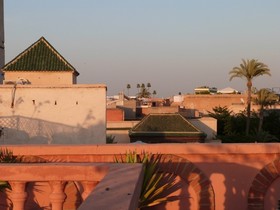 Riad Habib