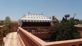 Riad Habib