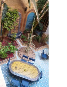 Riad Habib
