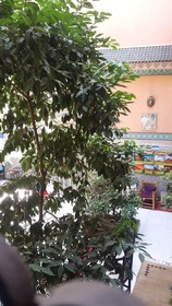 Riad Carole