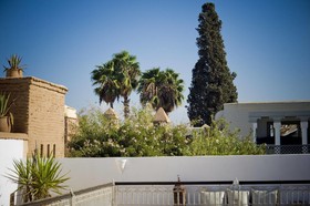 Riad Zhor