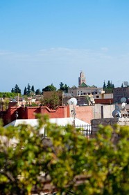 Riad Zhor
