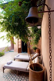 Riad Zhor