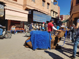 Riad La Medersa