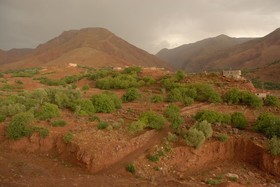 Riad Lorsya