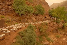 Riad Lorsya